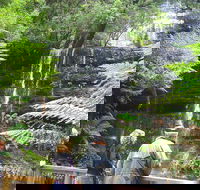 Mt Field National Park and Russell Falls from Hobart - Darwin Tourism