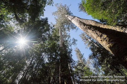 Mt Field And Styx Valley Photography Tour - Darwin Tourism 1