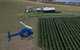 Bangor Vineyard Shed Helicopter Tour - thumb 0