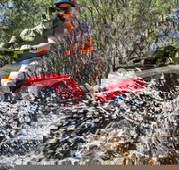 Quad Bike 2-Hour Adventure Freycinet National Park - Darwin Tourism