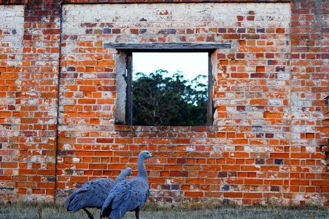 Private Maria Island Hiking Tour With Gourmet Lunch - Darwin Tourism 0