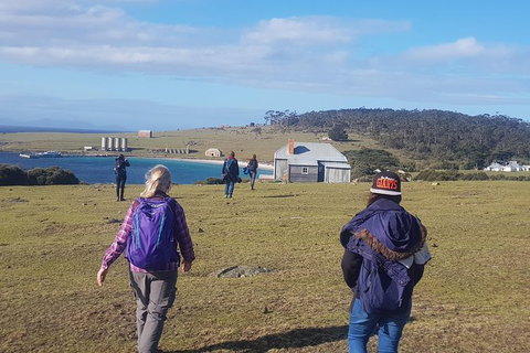 4-Day: Hobart Adventure Tour: Maria Island, Cape Raoul, Mount Field, Cape Hauy - Darwin Tourism 0