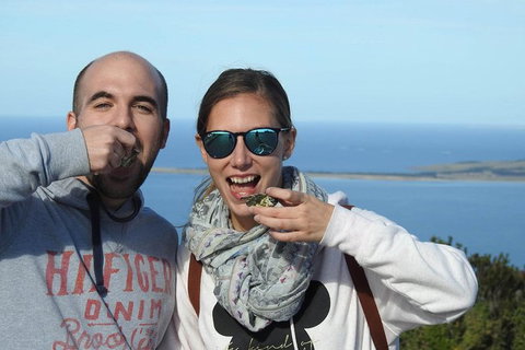 3-Day Port Lincoln And Coffin Bay Private Tour From Adelaide - Darwin Tourism 1