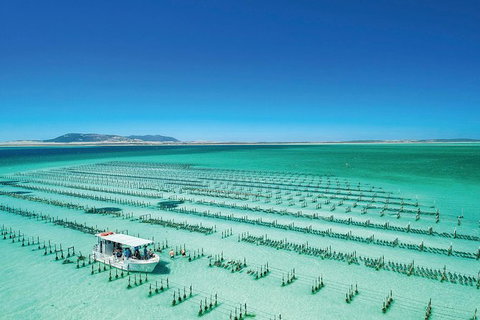 Coffin Bay Day Tour - A Taste Of Coffin Bay - Darwin Tourism 0