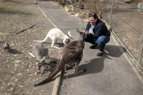 A Taste Of Adelaide And Hahndorf By Car Private Tour. - Darwin Tourism 8