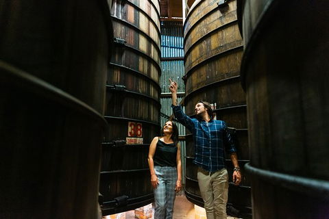 A Day Of Decadence At D'Arenberg - Darwin Tourism 1