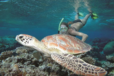 Great Barrier Reef Sailing And Snorkeling Cruise From Port Douglas - Darwin Tourism 0