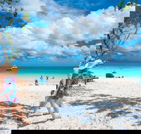 Whitehaven Beach Half-Day Cruises - Darwin Tourism