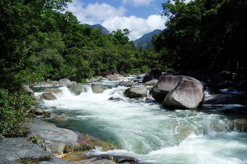 Daintree Rainforest, Cape Tribulation, Mossman Gorge In A Day - Darwin Tourism 0