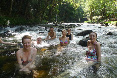 Daintree Rainforest, Cape Tribulation, Mossman Gorge In A Day - Darwin Tourism 10