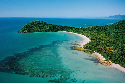 Daintree Rainforest, Cape Tribulation, Mossman Gorge In A Day - Darwin Tourism 6