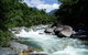 Daintree Rainforest, Cape Tribulation, Mossman Gorge In A Day - thumb 2