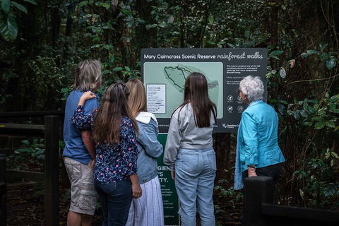 Sunshine Coast Hinterland And Noosa Day Trip From Brisbane Including Eumundi Markets And Ginger Factory - Darwin Tourism 4