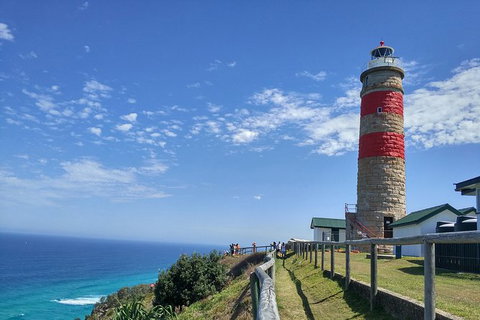 Cape Moreton Scenic 4WD Day Tour From Brisbane Or The Gold Coast - Darwin Tourism 1