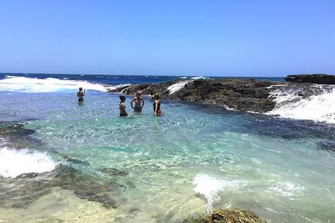 Cape Moreton Scenic 4WD Day Tour From Brisbane Or The Gold Coast - Darwin Tourism 3