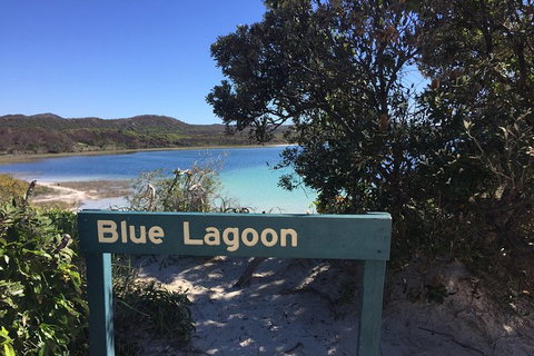 Cape Moreton Scenic 4WD Day Tour From Brisbane Or The Gold Coast - Darwin Tourism 4