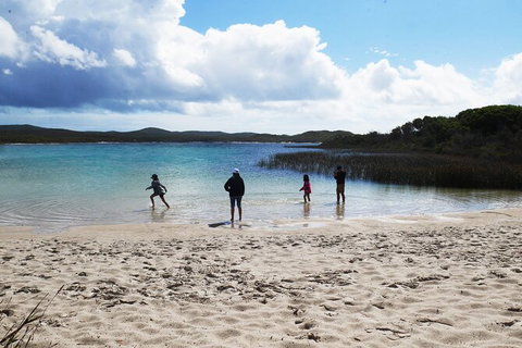 Cape Moreton Scenic 4WD Day Tour From Brisbane Or The Gold Coast - Darwin Tourism 5