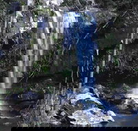 You Choose the Tour Brisbane Private Chauffeur Driven Personal Tour - Darwin Tourism