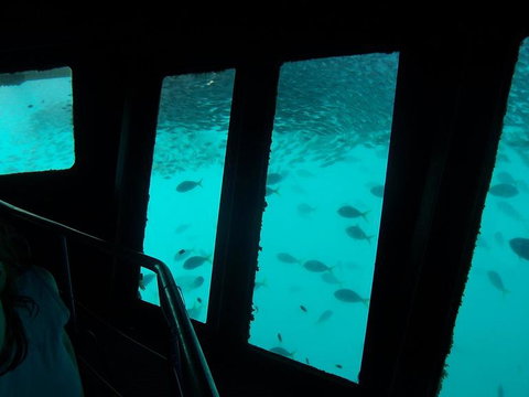 Great Barrier Reef Day Cruise To Reefworld - Darwin Tourism 12