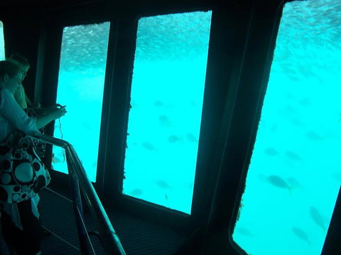 Great Barrier Reef Day Cruise To Reefworld - Darwin Tourism 11