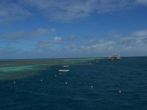 Great Barrier Reef Day Cruise To Reefworld - Darwin Tourism 15