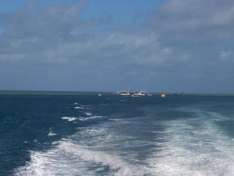 Great Barrier Reef Day Cruise To Reefworld - Darwin Tourism 22