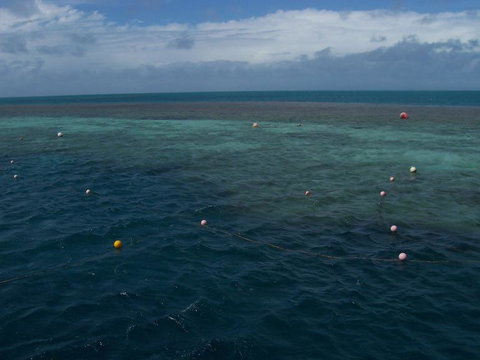 Great Barrier Reef Day Cruise To Reefworld - Darwin Tourism 16