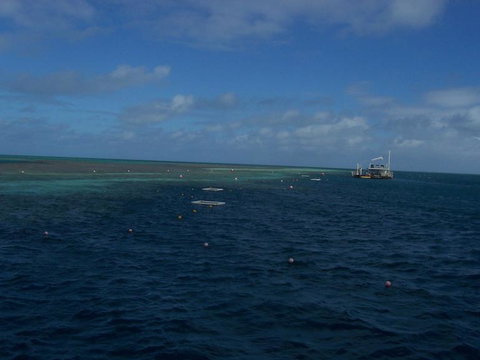 Great Barrier Reef Day Cruise To Reefworld - Darwin Tourism 13