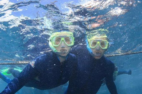 Great Barrier Reef Day Cruise To Reefworld - Darwin Tourism 3