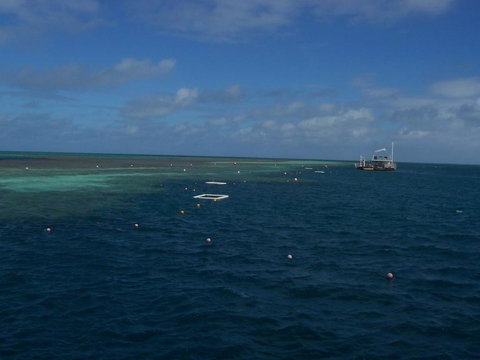 Great Barrier Reef Day Cruise To Reefworld - Darwin Tourism 14