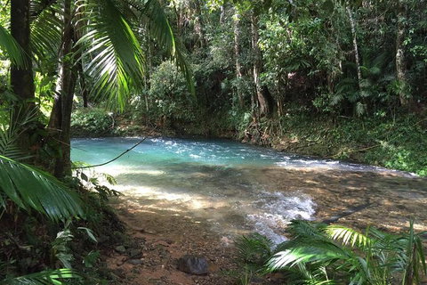 Daintree - Cape Tribulation & Atherton Tablelands Tours From Port Douglas - Darwin Tourism 5