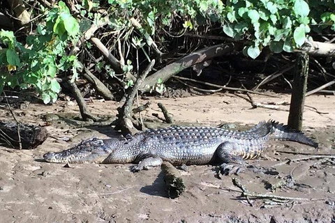 Daintree - Cape Tribulation & Atherton Tablelands Tours From Port Douglas - Darwin Tourism 24