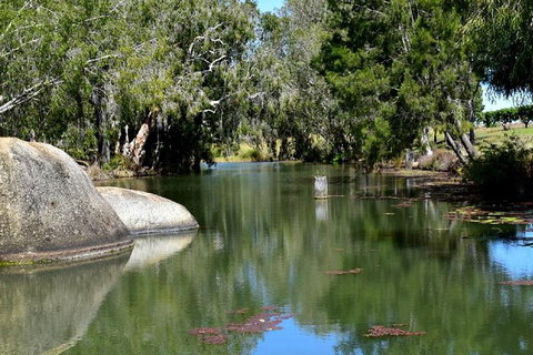 Daintree - Cape Tribulation & Atherton Tablelands Tours From Port Douglas - Darwin Tourism 28
