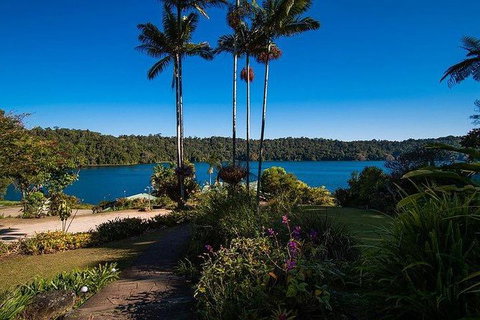 Daintree - Cape Tribulation & Atherton Tablelands Tours From Port Douglas - Darwin Tourism 25