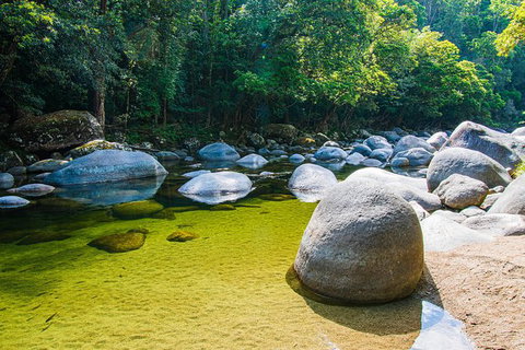 Daintree - Cape Tribulation & Atherton Tablelands Tours From Port Douglas - Darwin Tourism 6