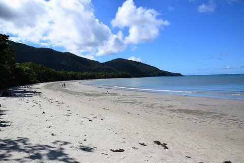 Daintree - Cape Tribulation & Atherton Tablelands Tours From Port Douglas - Darwin Tourism 18