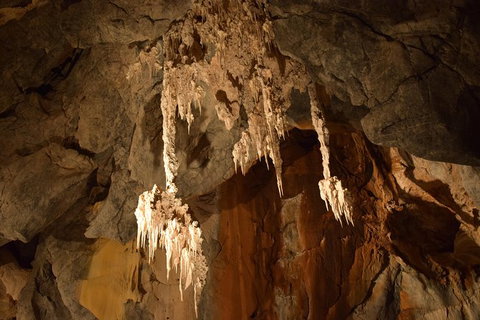 Daintree - Cape Tribulation & Atherton Tablelands Tours From Port Douglas - Darwin Tourism 23