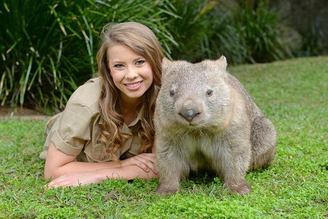 Small-Group Australia Zoo Day Trip From Brisbane - Darwin Tourism 5