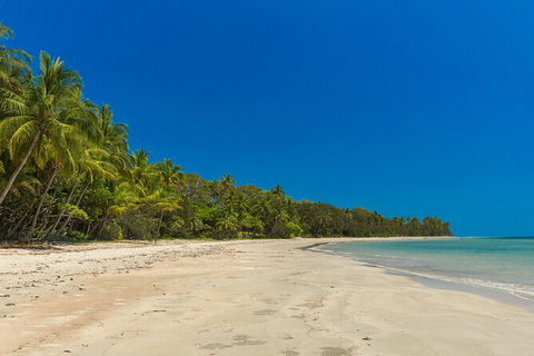 Ocean Safari Great Barrier Reef Experience In Cape Tribulation - Darwin Tourism 3