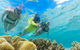 Ocean Safari Great Barrier Reef Experience In Cape Tribulation - thumb 4