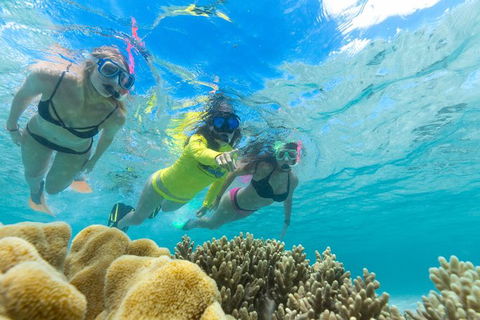 Ocean Safari Great Barrier Reef Experience In Cape Tribulation - Darwin Tourism 4