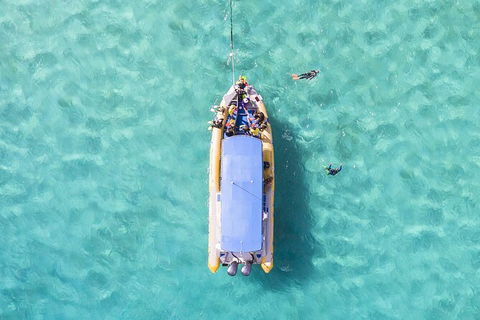 Ocean Safari Great Barrier Reef Experience In Cape Tribulation - Darwin Tourism 17