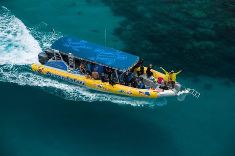Ocean Safari Great Barrier Reef Experience In Cape Tribulation - Darwin Tourism 9
