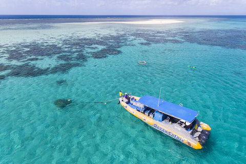 Ocean Safari Great Barrier Reef Experience In Cape Tribulation - Darwin Tourism 11