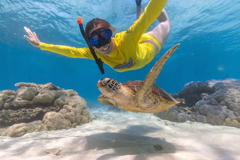 Ocean Safari Great Barrier Reef Experience In Cape Tribulation - Darwin Tourism 2