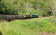 Kuranda Scenic Railway Day Trip From Port Douglas - thumb 3