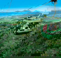 Small-Group Kuranda Village Skyrail Cableway and Scenic Railway Day Trip from Port Douglas - Darwin Tourism
