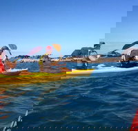 Port Douglas Half-Day Kayak Tour - Darwin Tourism
