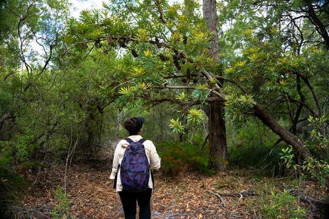 Pack-free Camping: Lake McKenzie Central Hike - 2 Days - Darwin Tourism 1