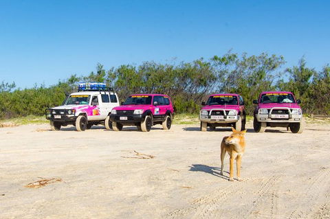 3 Day 4wd Tagalong Tour - Fraser Island - Darwin Tourism 0